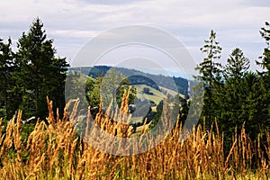 Vast panorama view from the forested hill in the Owl Mountains Landscape Park, Sudetes, Poland.