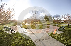 Vast park with pathways and trees on the grassy ground under the blazing sun