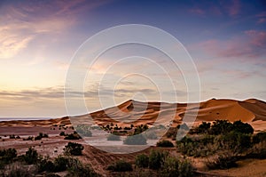 Vast sand dunes of Erg Chebbi with colorful sunrise. Sahara desert landscape with purple sky in Morocco