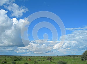 Vast savanna in Namibia, Africa photo