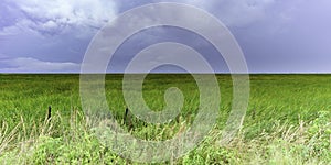 A vast treeless coastal plain on the Gulf of Mexico photo