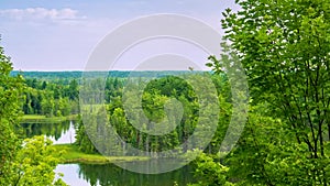 Vast View of Northern Michigan scenery from Overlook deck High Over Forest