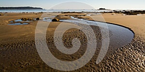 Vast Wetland Landscape with Sand Trail and Serene Sky