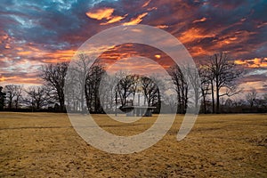 Vast yellow winter grass surrounded by bare winter trees with blue sky and clouds at Memphis Botanic Garden