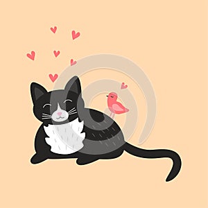 Cute purring black cat with a pink bird on the back and pink hearts. photo