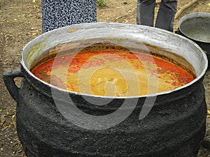 Vat of palm oil photo