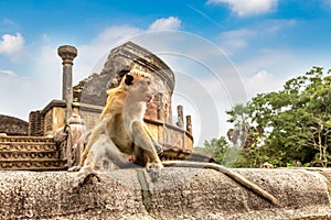 Vatadage in Polonnaruwa