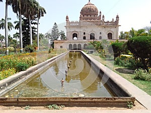 Vataer park bilding flower photo