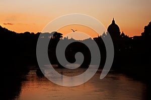 Vatican skyline in sunset