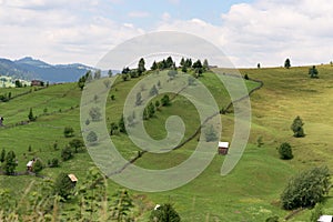 Vatra Dornei Landscape