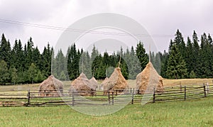 Vatra Dornei Landscape