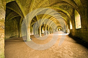 Vaulted ceiling photo