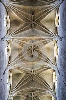 The vaulted ceiling of the cathedral