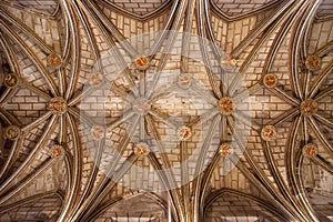 Vaulted Ceiling of Cuenca Cathedral