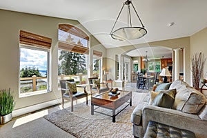 Vaulted ceiling living room interior in luxury house