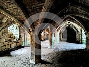 The Vaulted Cellar of Finchale Priory