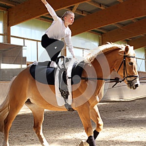 Vaulting on a brown horse
