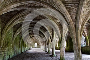 Vaulting in old cellar