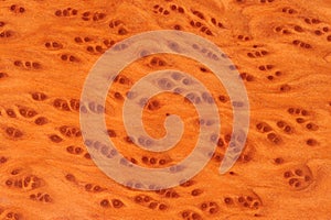 Vavona Wood Background Texture