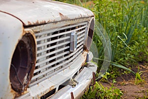 VAZ 2101 in the garden photo