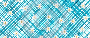 VBlue and white Oktoberfest background with edelweiss
