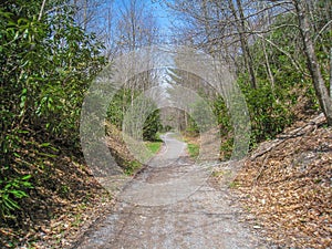 Virginia Creeper Trail near Damascus, Virginia