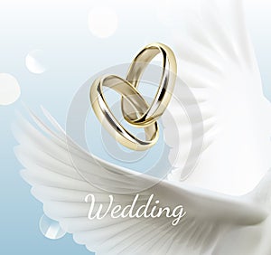 Vctor illustration of white dove wings and two wedding rings, symbol of love