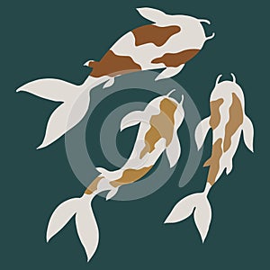 VeÑtor illustration of three karps Koi