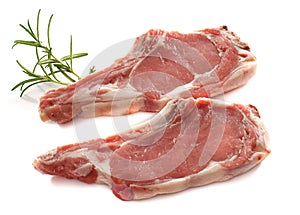 Veal meat chop photo