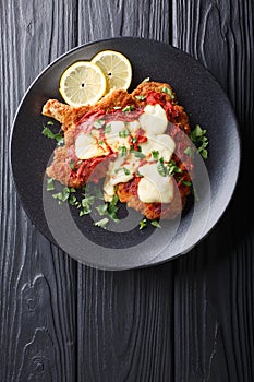 Veal Milanesa Napolitana with mozzarella cheese and tomato sauce photo