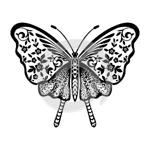 Vecor butterfly. Abstract insect silhouette black and white illustration