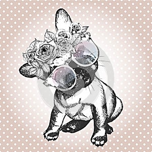 Vecotr portrait of dog, wearing the floral wreath and sunglasses. French bulldog breed.