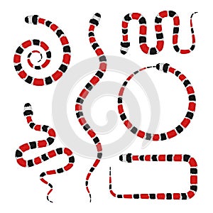 Vector 3d Illustration of Coral Snake or Micrurus Isolated on White