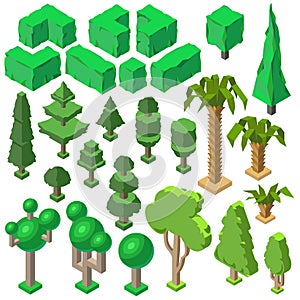 Vector 3d isometric plants, trees, bushes, palms