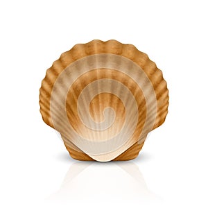 Vector 3d Realistic Brown Closed Scallop Pearl Seashell Icon Closeup Isolated on White Background. Design Template