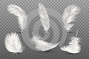 Vector 3d Realistic Different Falling White Fluffy Twirled Feather Set Closeup Isolated on Transparency Grid Background