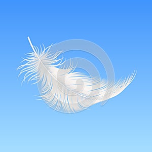 Vector 3d Realistic Falling White Fluffy Feather Closeup on Blue Sky Background. Design Template of Angel, Bird Detailed