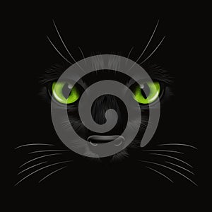 Vector 3d Realistic Green Cats Eye of a Black Cat in the Dark, at Night. Cat Face with Yes, Nose, Whiskers on Black. Cat