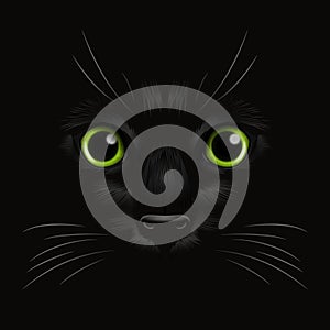 Vector 3d Realistic Green Cats Eye of a Black Cat in the Dark, at Night. Cat Face with Yes, Nose, Whiskers on Black. Cat