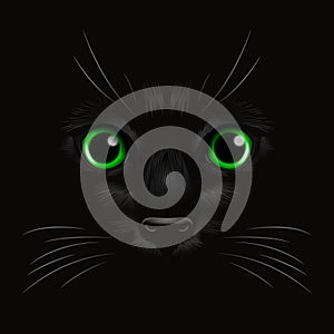 Vector 3d Realistic Green Cats Eye of a Black Cat in the Dark, at Night. Cat Face with Yes, Nose, Whiskers on Black. Cat