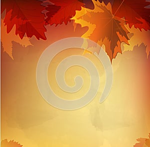 Vector abstract autumn background