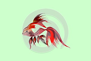 Vector Abstract colorful fish with light background wallpaper photo