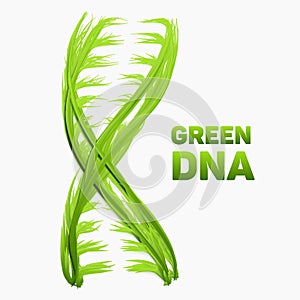 Vector abstract DNA strand as green grass. Conceptual health and ecology medical illustration. Double helix as vibrant