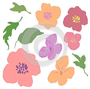 Vector abstract flowers and leaves set. Hand painted floral composition of wildflowers isolated on white background