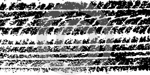 Vector abstract grunge tire tracks