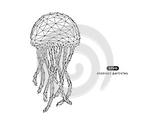 Vector abstract illustration of jellyfish