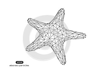 Vector abstract illustration of starfish