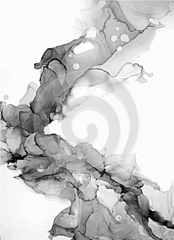 Vector Abstract ink background. Marble style. Black, white ink in water