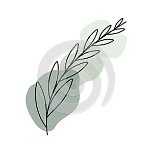 Vector abstract leaf illustration using for logo, wedding, stories, posters. Minimal modern leaves art.