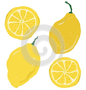 Vector abstract lemons set. Hand painted fruits isolated on white background. Holiday Illustration for design, print